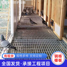 鸽舍网格板 鸽舍底网钢格板 鸽舍养殖场漏粪格栅板 公棚鸟棚地网