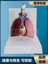 ���w����ϵ�yģ�ͺ퇵��ܷ����K��Ĥ��ǻ���K�ɲ�ж�ķν̌Wģ��