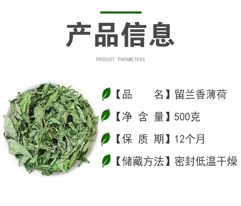 Spearmint Leaf (Mentha spicata) — Anhui Dried Mint Tea for Cold Brew & Daily Infusions quality and texture