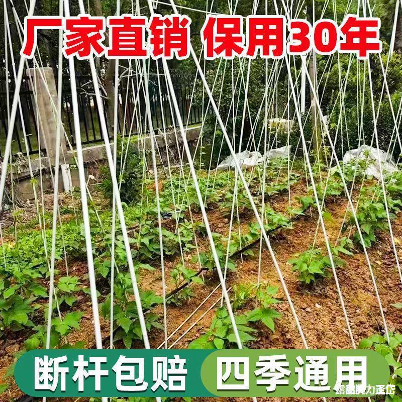 Стеклянная арка для подвешивания овощей, решетка для огурцов и огорода.