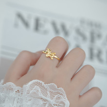 ���؂��Ԫ��ǫF��ָŮ����С���OӋ��ͯԒ��Ů���s���|�_��ʳָ��