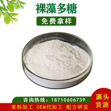 ������������95% ������ȡ�� &beta;��1,3��-�Ͼ��� �����Ͼ���