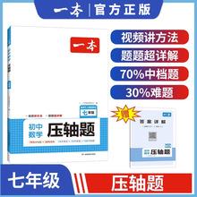 一本2024初中数学压轴题 专项训练解题方法数学答题模板例题练习