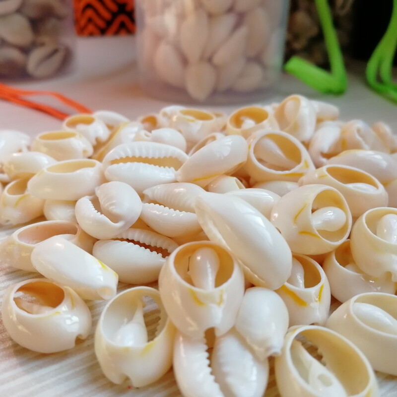 Sliced Gold-Edged Shells, Natural Shell Slices, Golden Conch Shells, Handmade Clothing DIY Accessories
