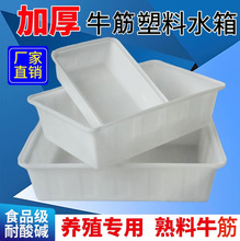 �Ӻ�ţ������ˮ���L���δ�����ˮ�a�Bֳ�B�~���B���ۃ�ˮͰ���D��