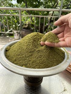 �؅^Ѭ��� ��ľ�� ������ ����� �����500���l����ĩ������