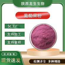 葡萄果粉 水溶性葡萄汁粉 固体饮料原料 水果粉厂家现货批发