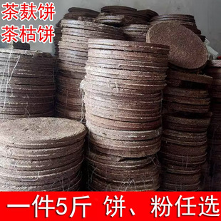 �������r��ե����������������Ͳ��ɲ���ϴ�l�o�l�B�l5�W
