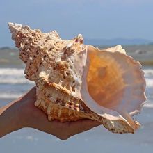 ���ݴ�ؐ����֬��õ�����~��ɺ���쾰�������նY�ﺣ�ݘ˱�