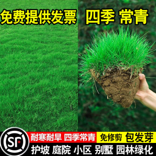 ��ƺ�N�Ӳ����ļ�����G����������Ľ�����é������Ƥ���o�¹���