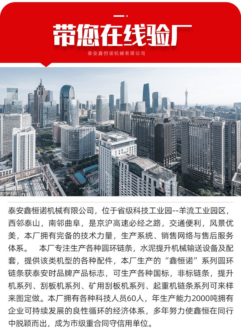 MS埋刮板输送链条_03.jpg