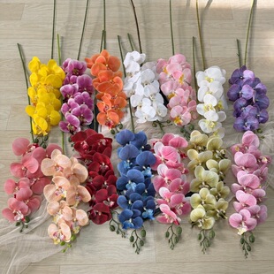 9�^�����m���滨�m���ٻ��廨��ɫ�b���ɫ��Y��ɫ������c����