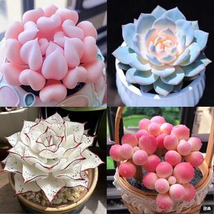 ¿ֲԽMςӰۼtֺBͺkݗ