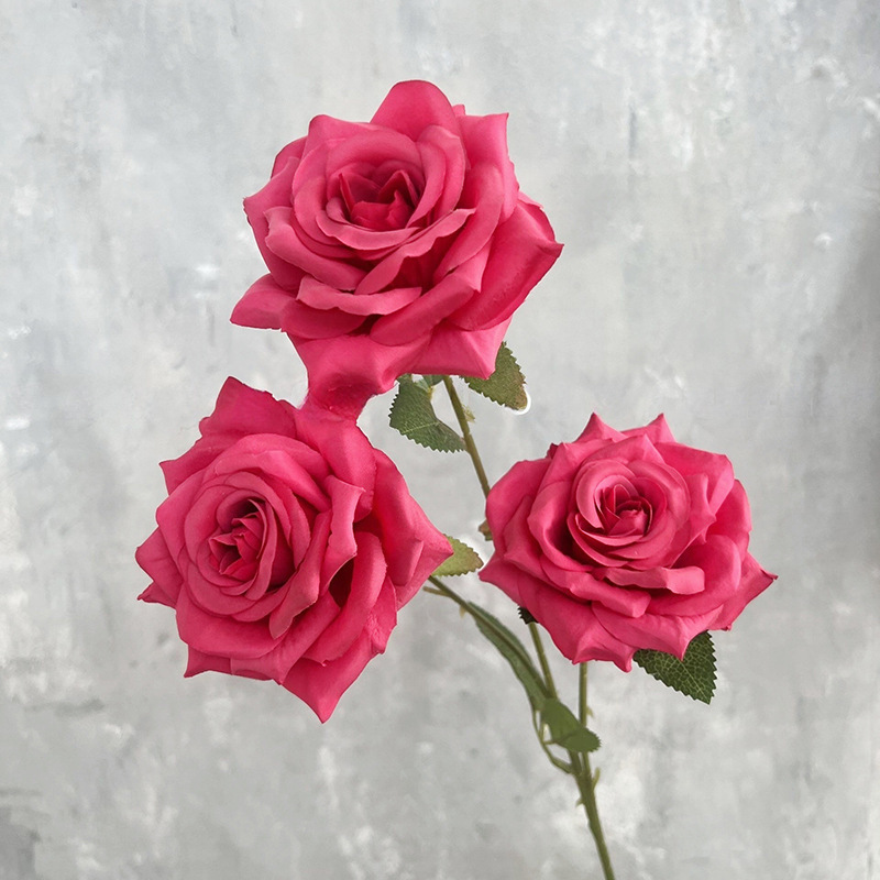 3 헤드 다이아몬드 로즈-로즈 레드