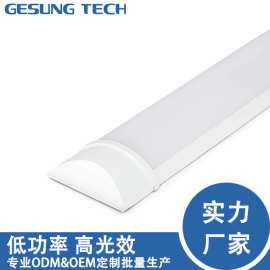LED-全塑净化灯 0.3m 9W 6500K