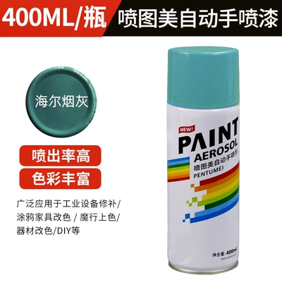 Paint Paint Wholesale — Avtomobil boyası - self-painting-400ml-340g-48-haier-soot-400mlbottle