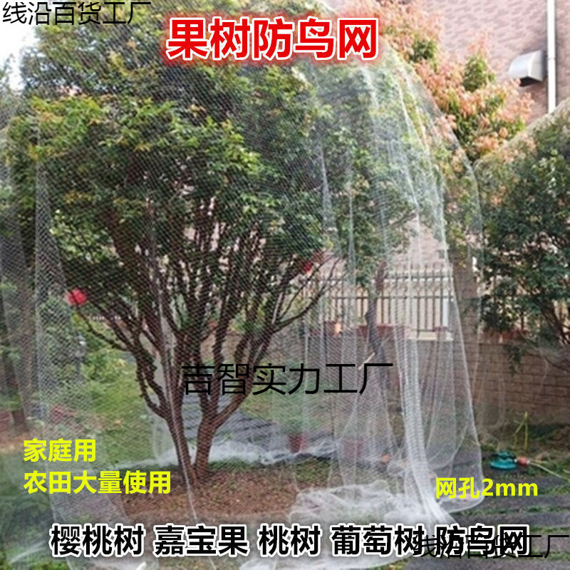 果树专用防鸟网樱桃树葡萄蔬菜防护罩尼龙网网罩果子防鸟网子批发