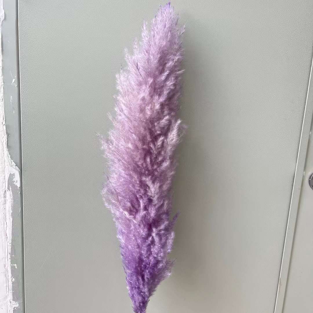 보라색(꽃 스파이크 50+)