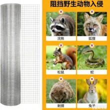 �羳������ڲ���\䓽z�W늺��W�W��W�B�u���ھW���o�BֳĨ��Ĩ