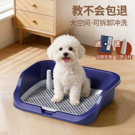 猫厕所;狗狗牵引;宠物智能喂养