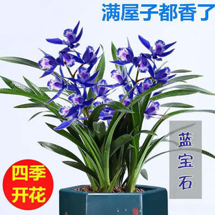 �����ذl؛�����B������m�������Ԏ��������mī�m�������҃��m��