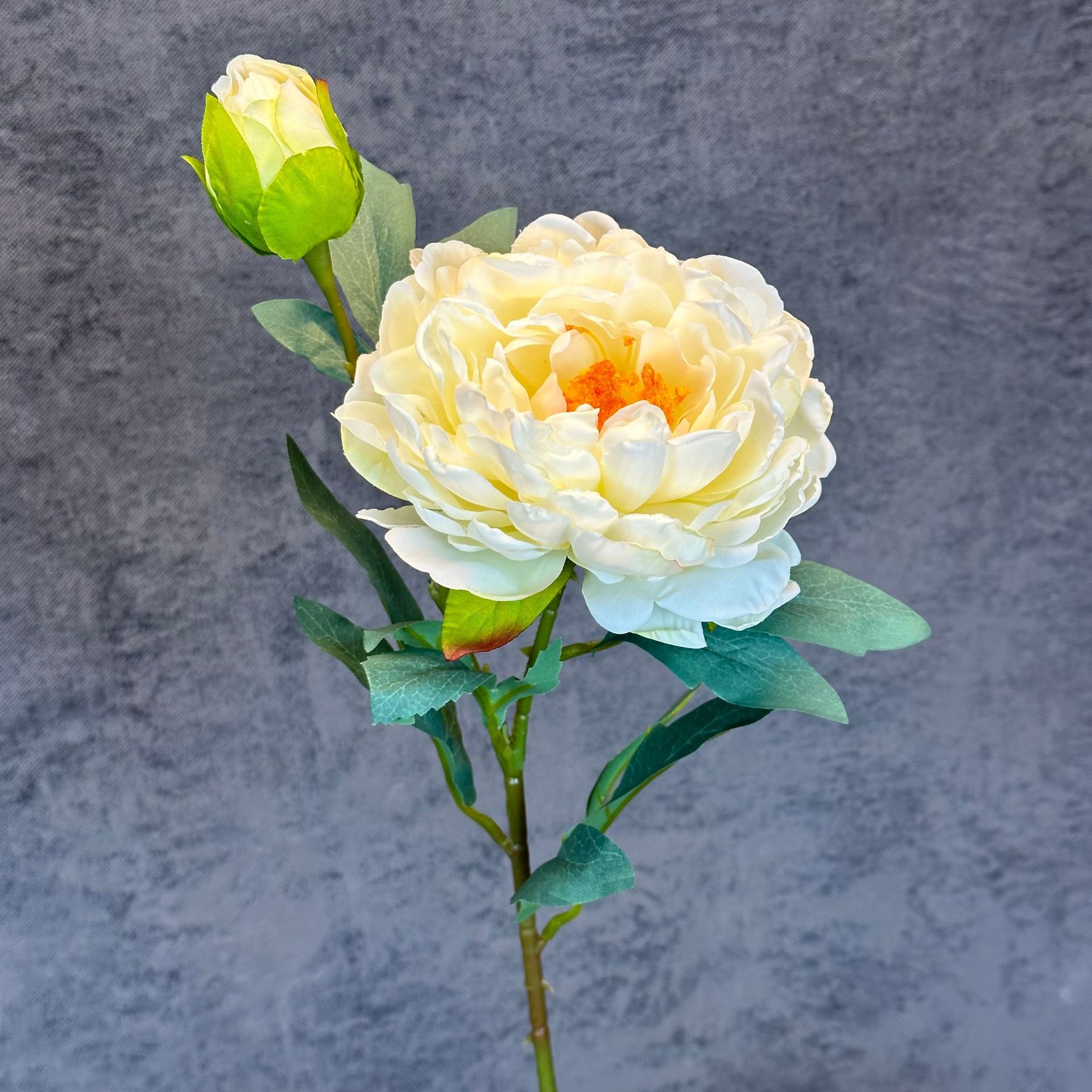 Blanco
