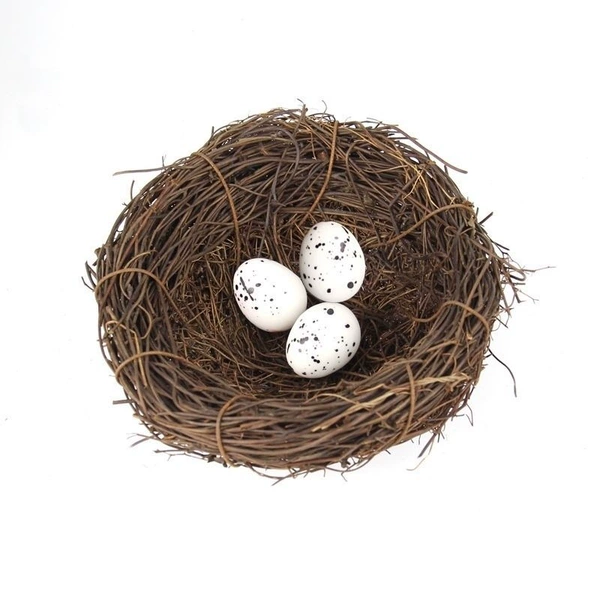 12cm bird's nest with 3 eggs