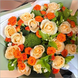 ���񿨲����Z��ɯ����ѩɽõ���r�����������������ֱ�l���fͬ��