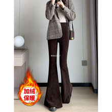 �ӽq��о�l�q΢��ѝŮ�ﶬ������朲��N���R��ѝ����խ�������ѝ