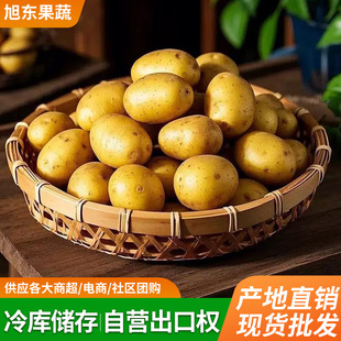 �����S��С�����r���ԷN��ɽ�����t��Ŵ����F���Ȱl�R����߲�