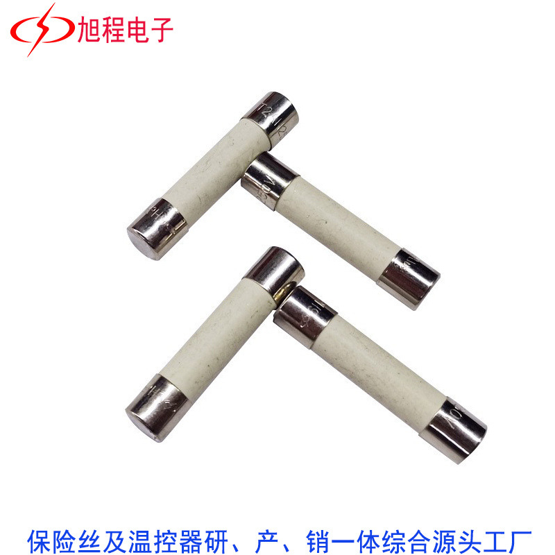 批发电工电气陶瓷保险管6*30慢熔断平头管状保险管电流直流熔断器