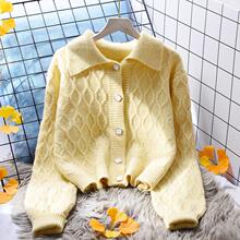 ���ë���_��Ů�����⴩2025�¿��ﶬ㼑��L�黨ᘿ�������