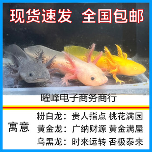 ���ǿ����~��ˮ�~ϔ�ˮ�匙����w��������ˮ���B�׻��^�p�W�t�~