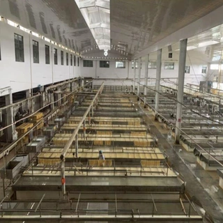小型家庭腐竹机设备 全自动腐竹机生产视频 免费安装调试