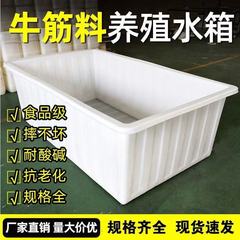 加厚牛筋水箱塑料桶水箱家用长方形大容量养鱼卖鱼养殖储水桶浅盆