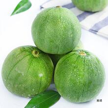 新鲜绿宝甜瓜5斤带箱水果包邮香瓜当季时令小甜瓜脆瓜绿宝石