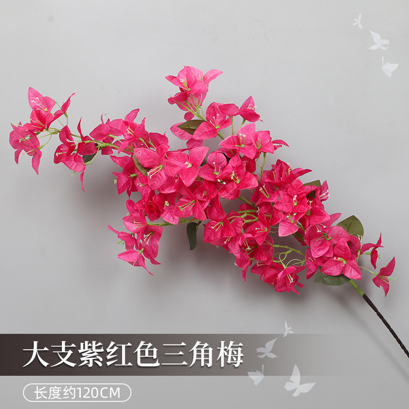 큰 부겐빌레아 - 자홍색