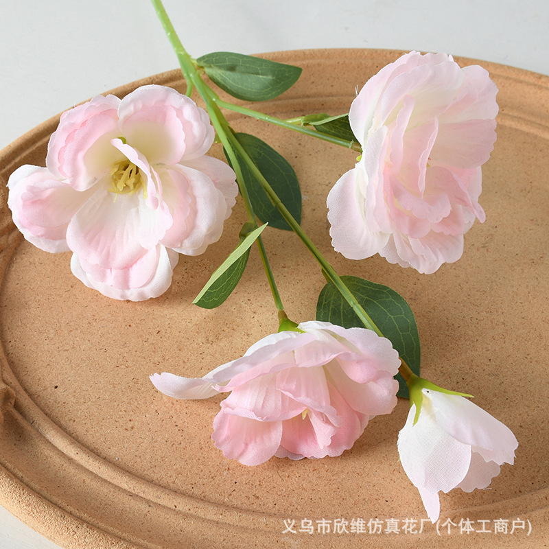 洋桔梗粉色