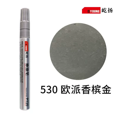 Yiyang Aluminum Alloy Touch-Up: Avtomobil boya qələmləri - 530-oupai-champagne-gold