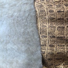 ¿{~yëƤëһwӡëɫƤbqƤ