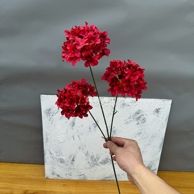 Snowflake Wood Hydrangea Red