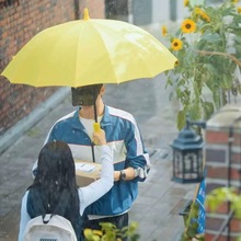 背着善宰跑黄色德国进口雨伞同款韩国马卡龙绅士淑女伞14骨加固