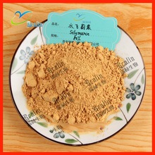 水飞蓟素 水飞蓟单宾  80%水飞蓟 水飞蓟提取物 瑞林现货销售