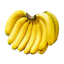 �����쌚�㽶��ɽ�G�㽶����쮔�����rˮ�����]�㽶һ�����l