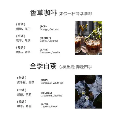 Refill Piece Air Outlet Aromatherapy | Car Perfume Aromatherapy