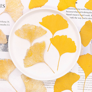 �y���~ �滨Ѻ�������׃��̌Wֲ��˱��زĲ��ϵ��z�ɻ��֙C��diy