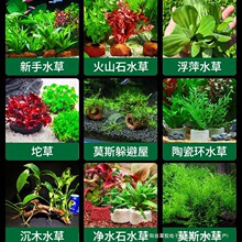 �~��ˮ��ֲ������쾰���ˮ���b���ԃ���ˮ�|���B�����쾰ȫ��