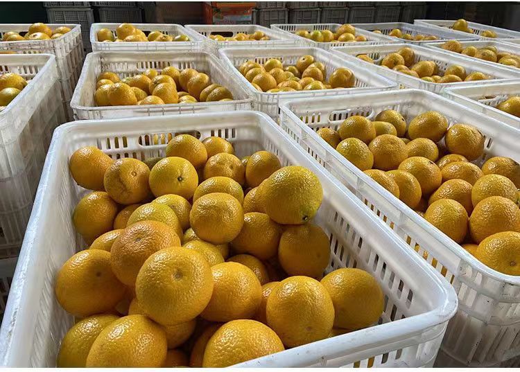 微信图片_20231222213041