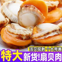 ��ؐ�����r�����̖���S�������ú��rˮ�a�tؐ���l�S͘���r��