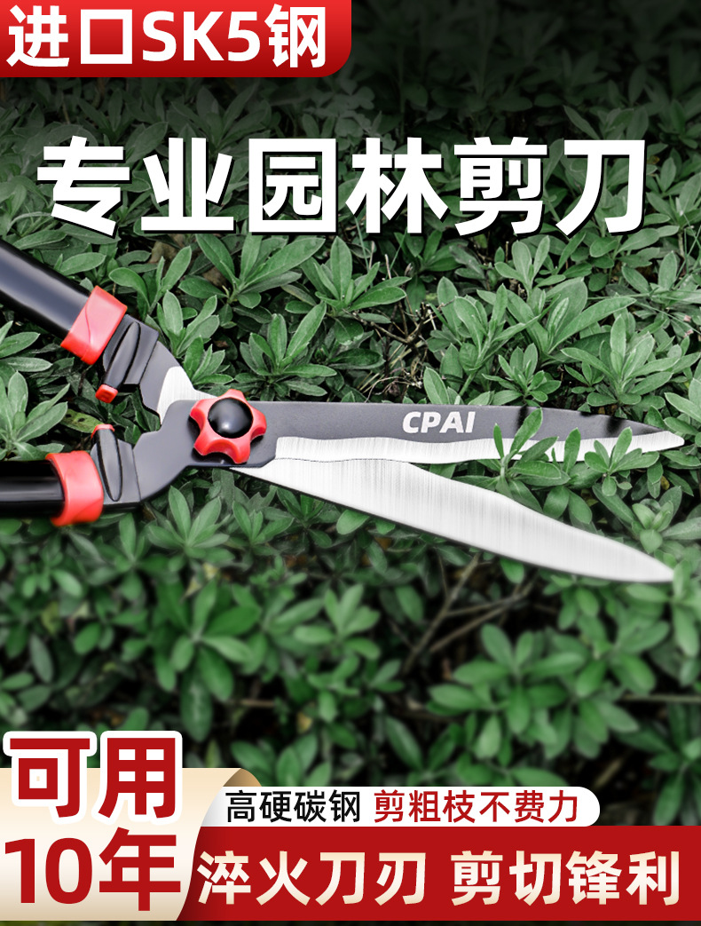 未标题-1_01.jpg